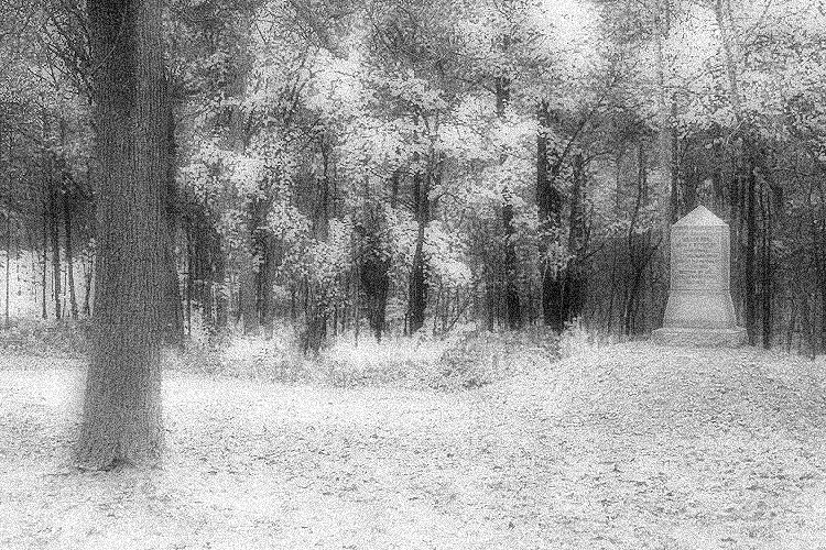 ../Images/Untitled-13a.jpg